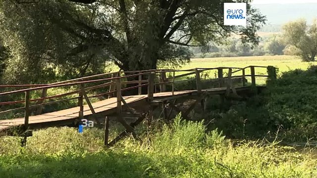 Мигранты исчезли с границы Словакии и Венгрии: почему?