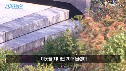 [자막뉴스] 고층 건물서 무심코 던진 돌에 잇단 사망…이 정도 위력일줄야