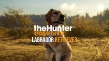 The Hunter Call of the Wild Official Labrador Retriever DLC Release Date Announcement Trailer