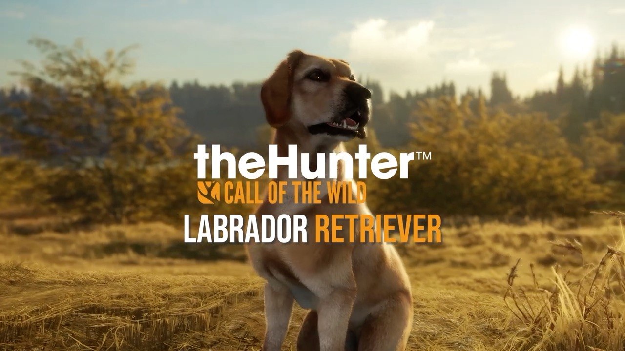 The Hunter Call of the Wild Official Labrador Retriever DLC Release