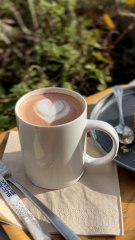 Itinéraire d'un Parisien : La Muette