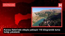 Erzincanlı vatandaş olta ile 110 kilogramlık turna balığı yakaladı