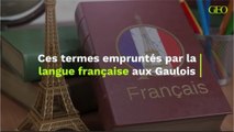 Ces termes empruntés par la langue française aux Gaulois