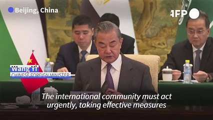 China FM says 'urgent' steps needed to ease Gaza crisis