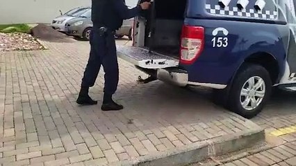 Homem é preso pela Patrulha Maria da Penha no Santa Felicidade