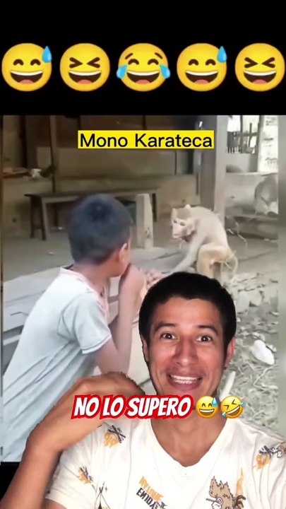 El Mono karateca