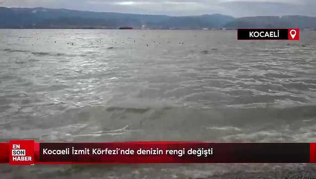 Kocaeli İzmit Körfezi'nde denizin rengi değişti