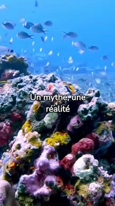 L'Atlantide était réelle ou juste un conte ?