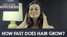 How Fast Does Hair Grow?