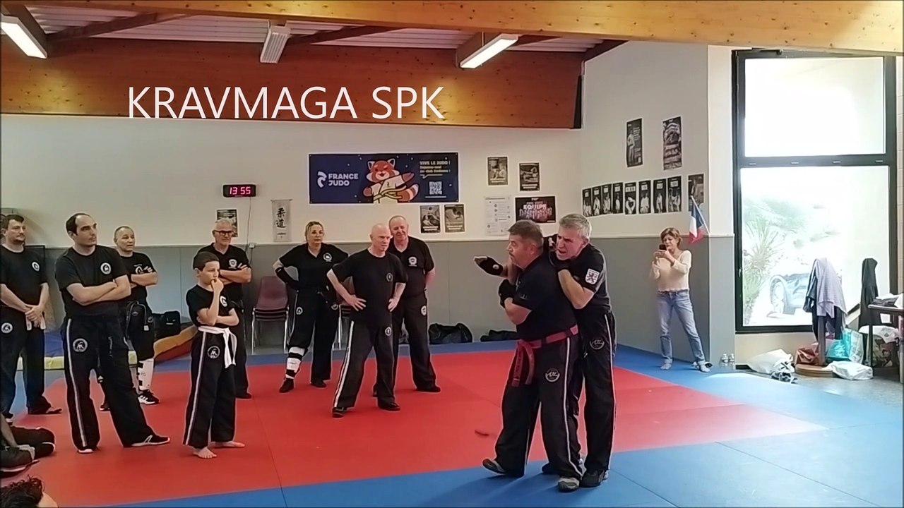 WORLD KRAV MAGA ORGANIZATION - WKMO - SELF PRO KRAV - video Dailymotion