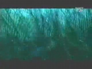 DOC PLANETE LES HOMMES LEZARDS REPTILIENS 2/3