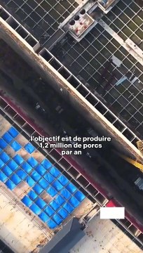 en Chine, à Ezhou, les bâtiments sortent du sol non pas pour loger les citoyens, mais des centaines de milliers de porcs