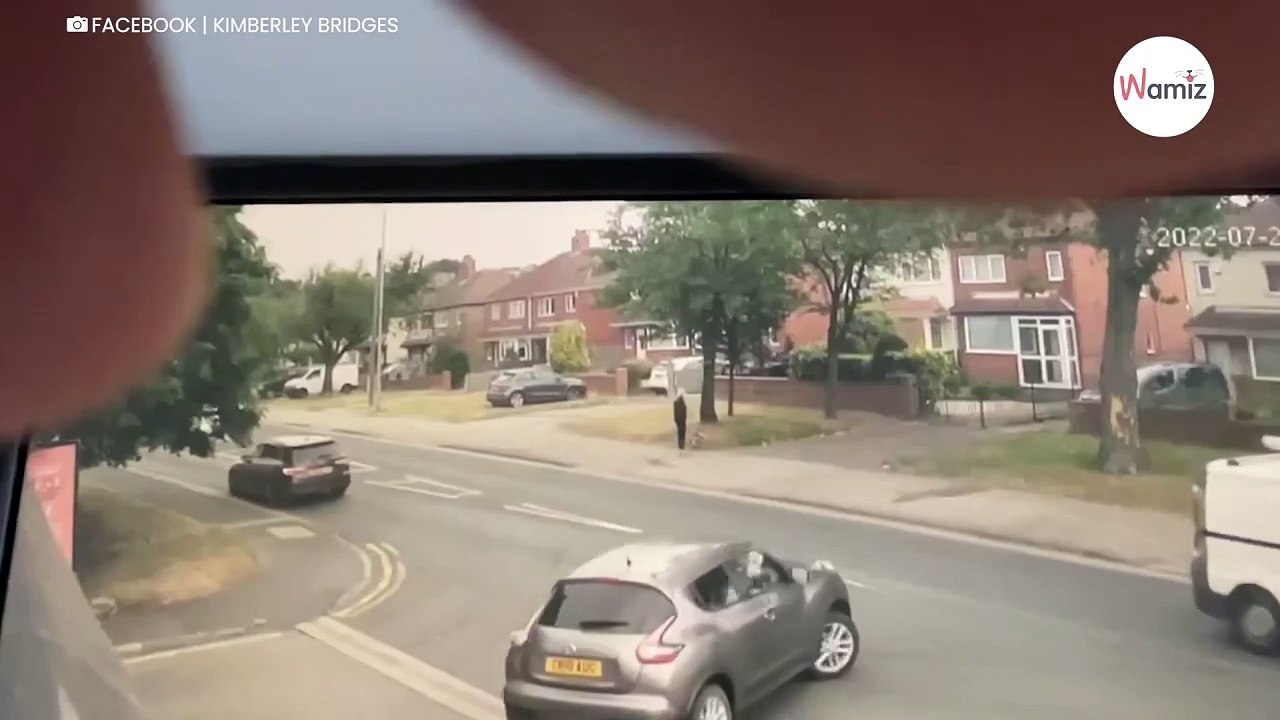 A passeggio, un'auto si precipita verso di loro: il cane le salva la vita (Video)
