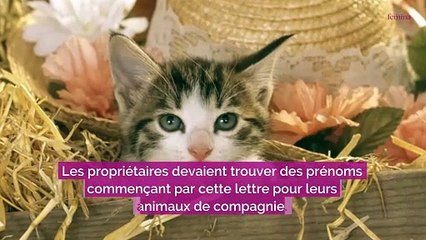 Voici les noms de chiens et chats les plus donnés en 2023