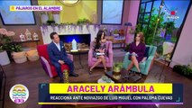 Aracely Arámbula REACCIONA al NOVIAZGO de Luis miguel y Paloma Cuevas