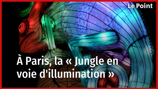 Jardin des Plantes : à Paris, la « Jungle en voie d'illumination »