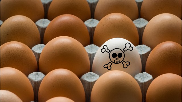 Œufs pollués : êtes-vous concernés par l’alerte lancée par l'Agence régionale de santé ?