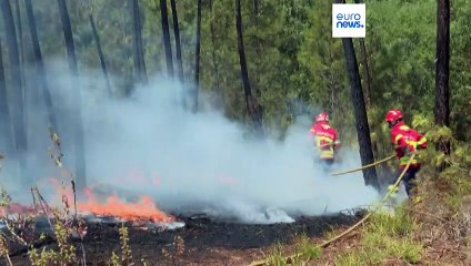 Le monde sur une trajectoire de réchauffement catastrophique, +  2,9 °C alerte l'ONU