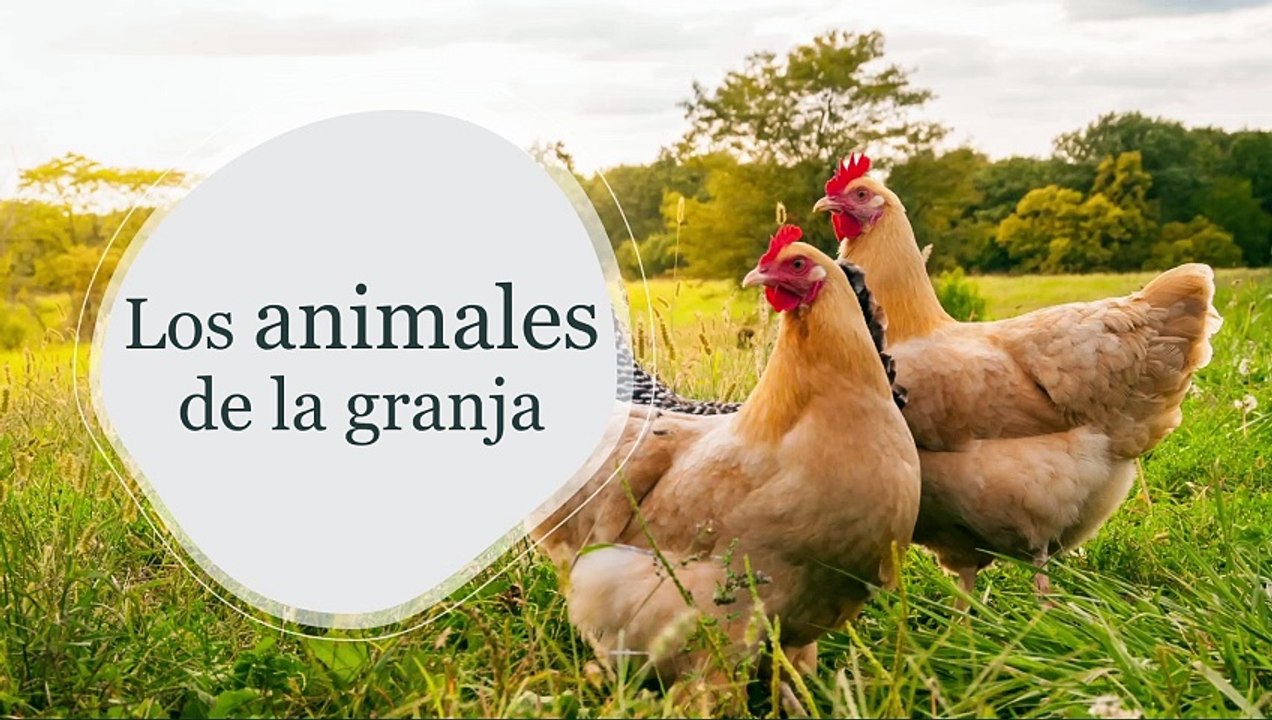 Animales de la granja en español (Farm animals in spanish)
