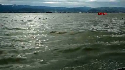 İZMİT KÖRFEZİ, ÇAMUR RENGİNİ ALDI