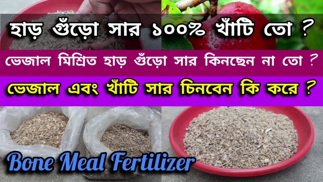 হাড় গুঁড়ো সারে ভেজাল মেশানো আছে কিনা কিভাবে বুঝবেন ।। Bone Meal Fertilizer for Plants