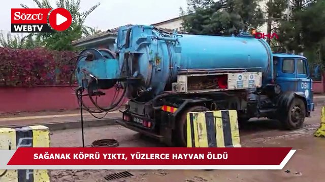 Sağanak köprü yıktı, yüzlerce hayvan öldü