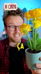 La TERRE COMESTIBLE au CINÉMA 