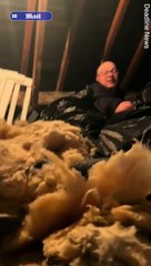 Moment man falls through ceiling while getting Christmas decorations