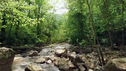 Fat Caps - Audionautix. Relaxing music