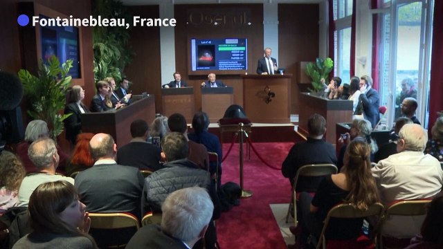 Napoleon's hat sells for record sum at French auction