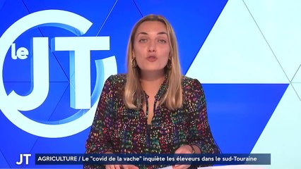 AGRICULTURE / Le "covid de la vache" inquiète les éleveurs dans le sud-Touraine