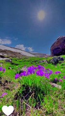 Natural Beautiful views of Mountains