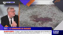 Rixe dans la Drôme et affaire Guerriau: le sommaire du 20H de Ruquier
