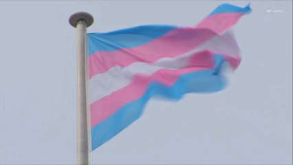 At Least 33 Transgender and Nonbinary People Were Killed in the Past Year, Report Says