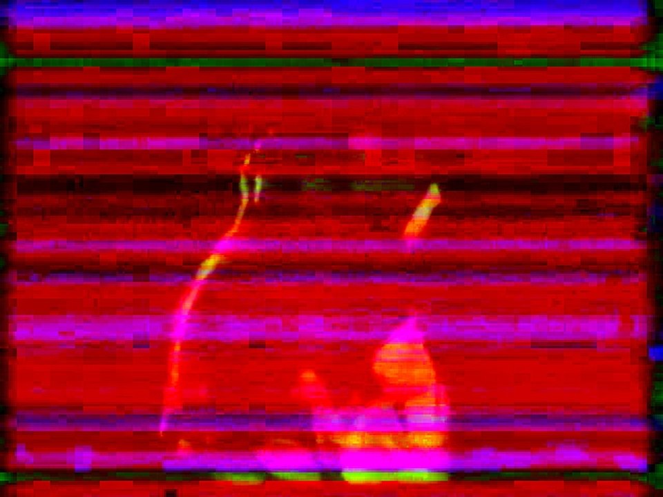 ΜΑΡΙΩ Η ΚΑΤΑΤΡΕΓΜΕΝΗ ΒΟΣΚΟΠΟΥΛΑ - 1969 - VHSRip - 720x536
