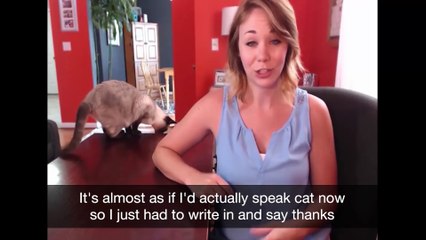 Review of technique that solves cat's behavior problem