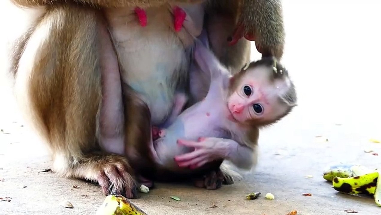 Cute baby Monaco scream holding mommy Molia to wait, Monaco fear of loosing mother