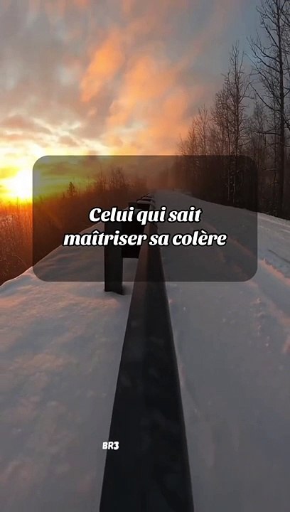 Celui qui sait maîtriser sa colère est un homme fort #motivation #success #motivational