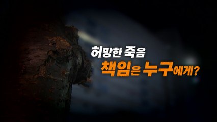 [영상] "초등학생이 떨어뜨린 돌에"...허망한 죽음, 책임은 누구에게? / YTN