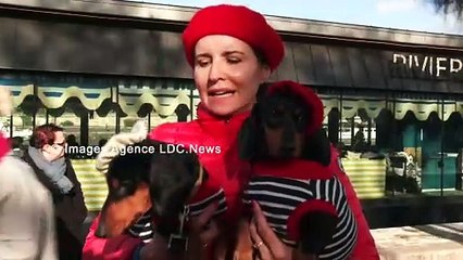 Lucienne la Parisienne. Paris/France - 19 Novembre 2023 Paris/France - 19 Novembre 2023