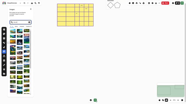 Mural Course Section 19 Search and Insert Images