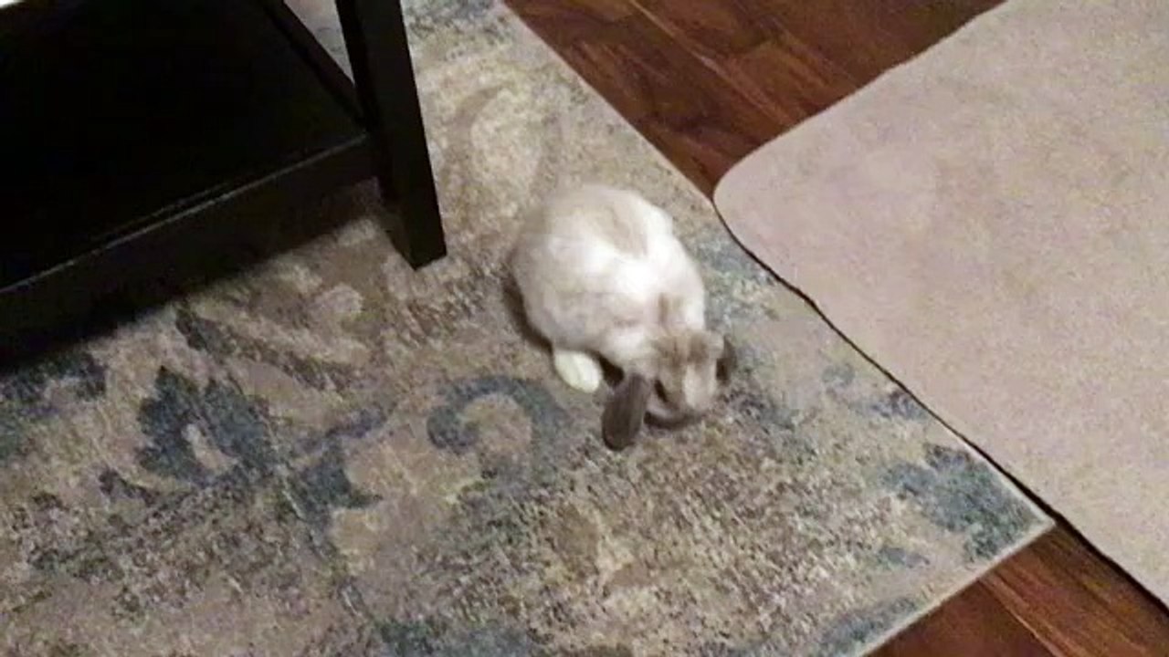 Jia Lissa - Entanglements Part 2 - video Dailymotion