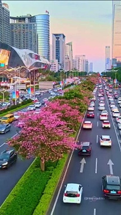 Look, snow is falling and flowers are blooming in northern Shantong.