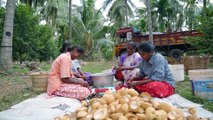 How farmers in one Indian village crafted the most expensive nutmeg and mace