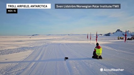 Largest plane to ever land on Antarctica touches down