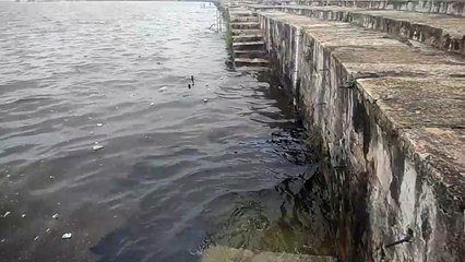 प्रदेश की इस झील का पूरा सिस्टम हुआ खराब, इलाज की दरकार
