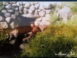 Höbek Köyü-Kocasin-Kayseri 21,03 dakk