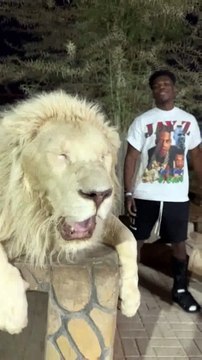 Tchouameni video goes viral as he poses with lion