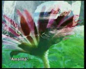 Duo Ouro Negro - Amanhã