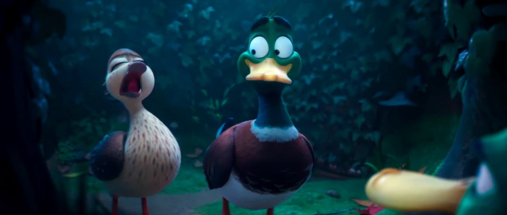 Migration Movie Clip - Mack Wakes the Mallards to Start Their Migration